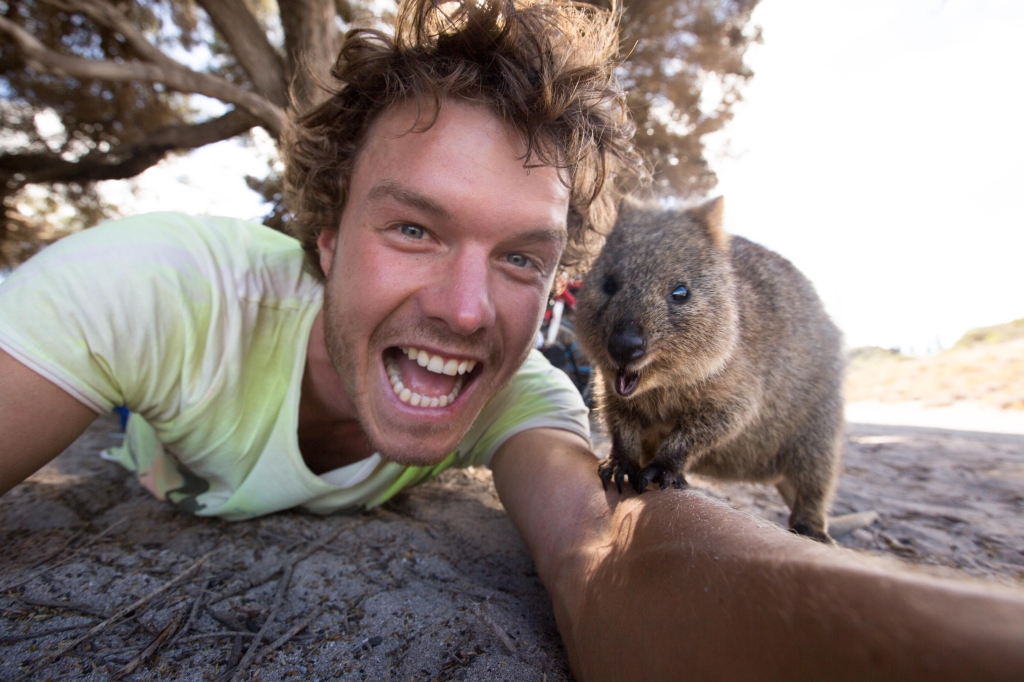 Where to meet the Quokka: the happiest animal in the world